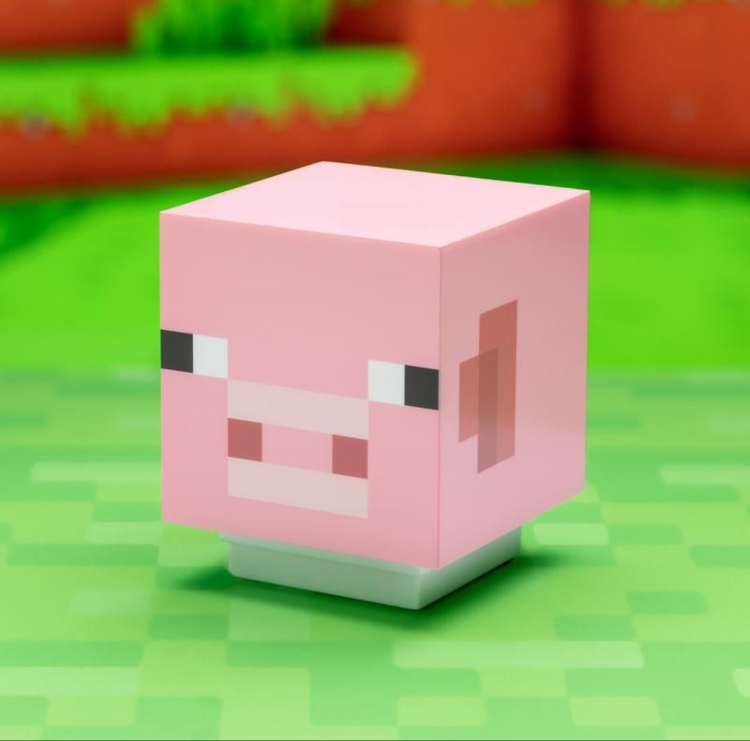 Minecraft pig light